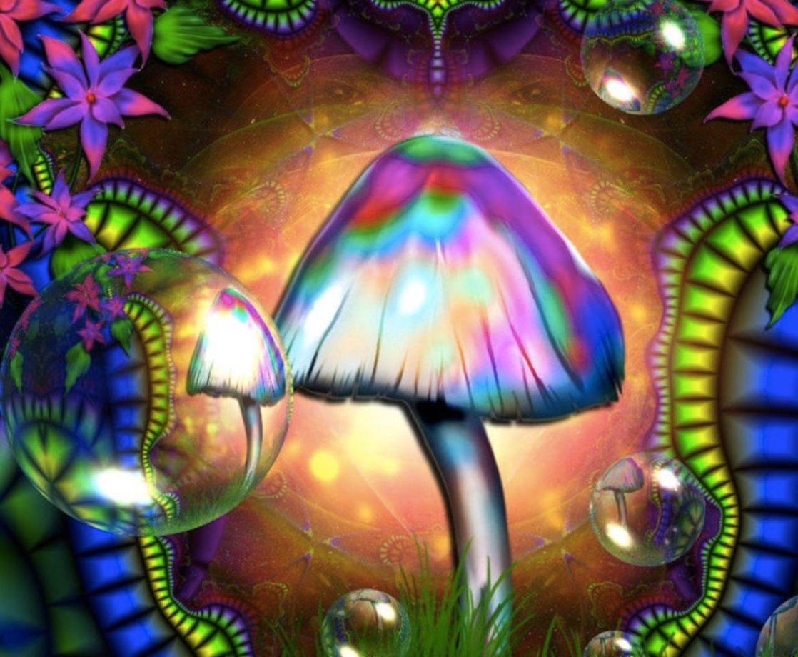 Psychedelic Plant Medicine Ceremonies Could Be Legal in Oakland by the End of 2020