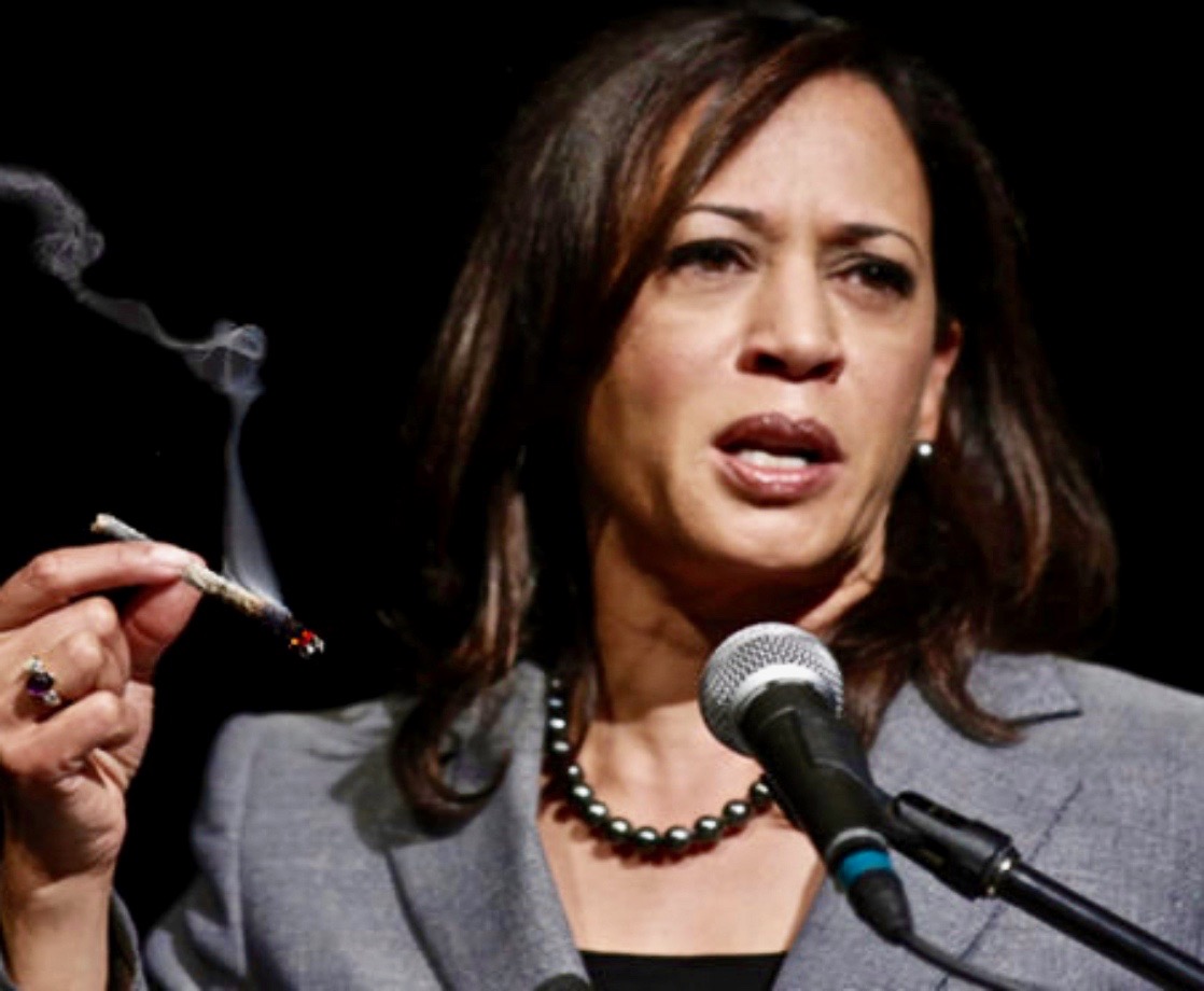 Kamala Harris Is Officially Biden’s VP, But What Does That Mean for US Weed Policies?