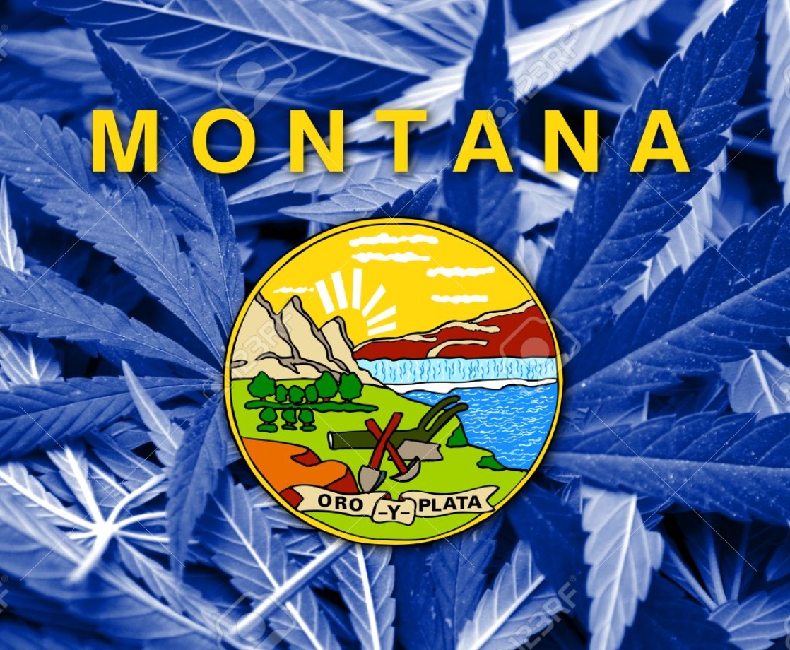 Montana Residents Will Officially Vote on Adult-Use Weed in 2020 Election