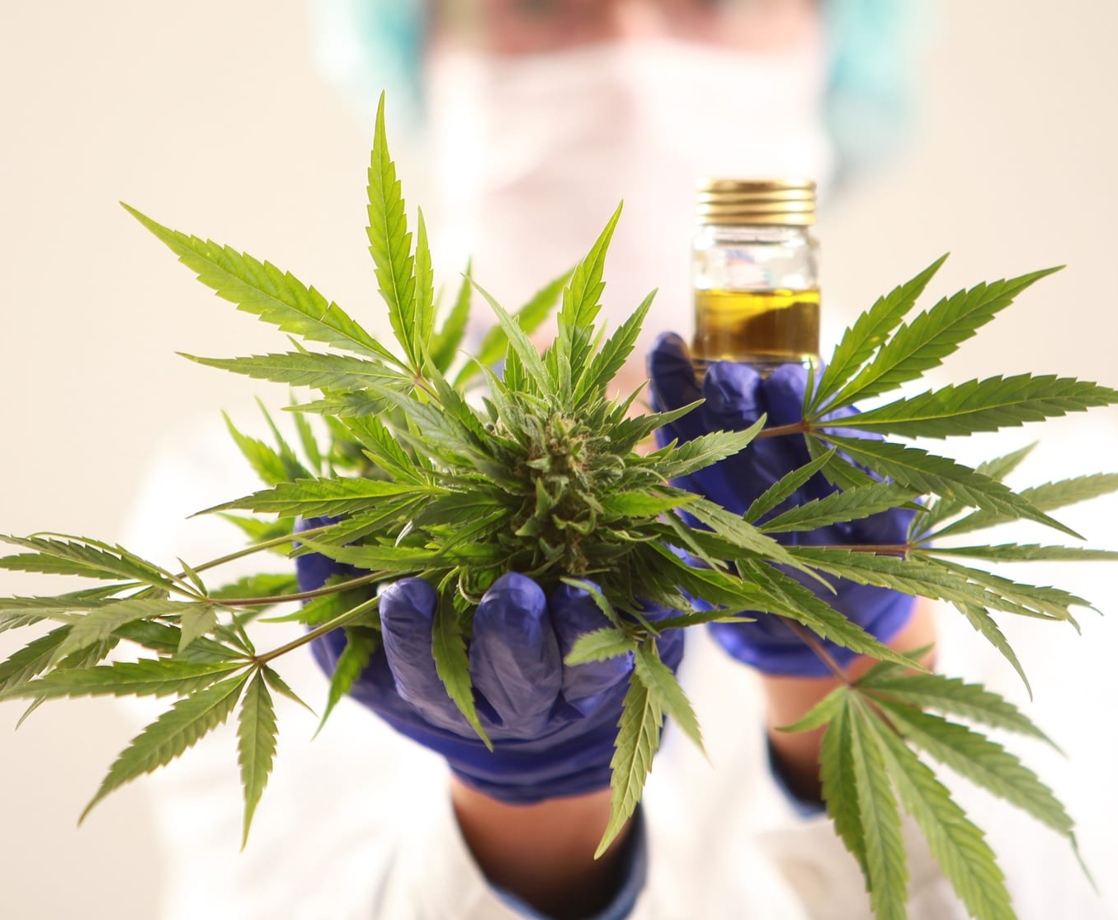 The FDA Is Now Hiring People to Study Thousands of Cannabis Products