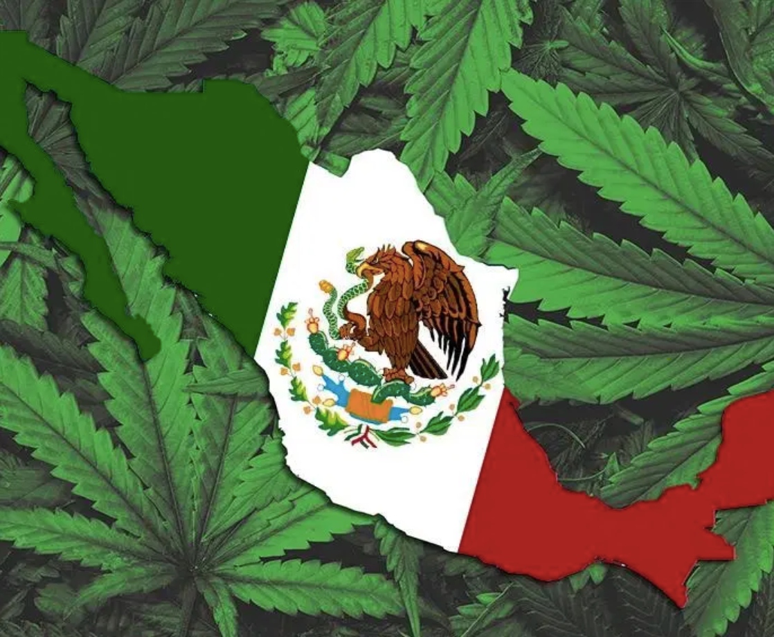 Mexican President Says the Country Will Finally Legalize Adult-Use Weed in 2020