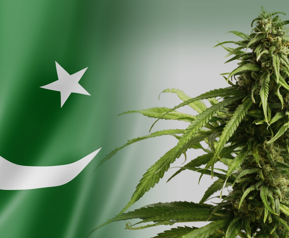 Pakistan Legalizes Industrial and Medical Cannabis Aiming to Expand Global Market