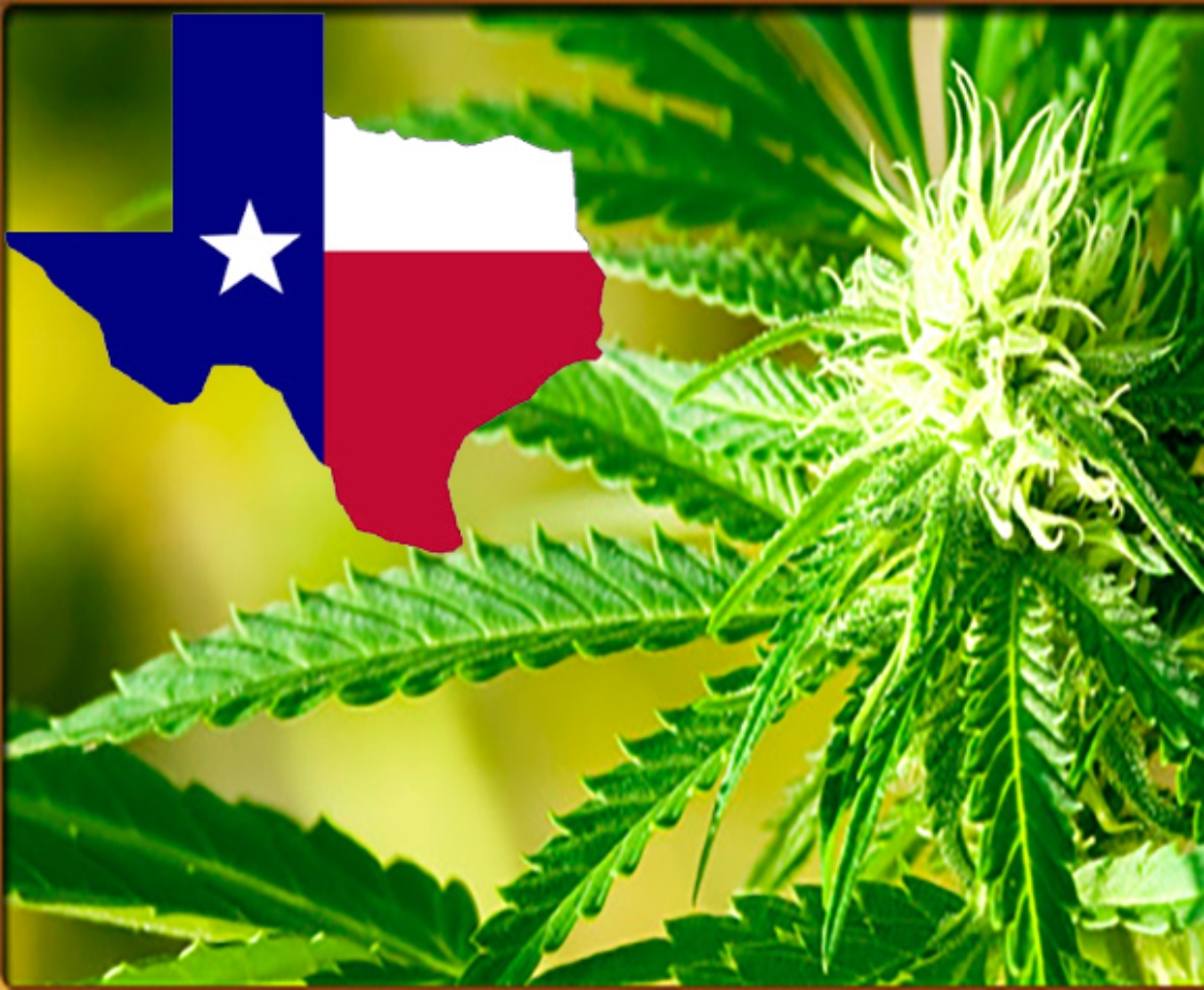 Texas GOP Congressional Candidate Is Pushing for Weed Legalization ASAP