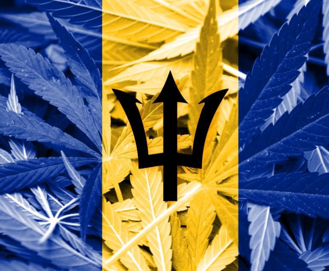 Barbados Is Inches Away From Decriminalizing Cannabis Possession