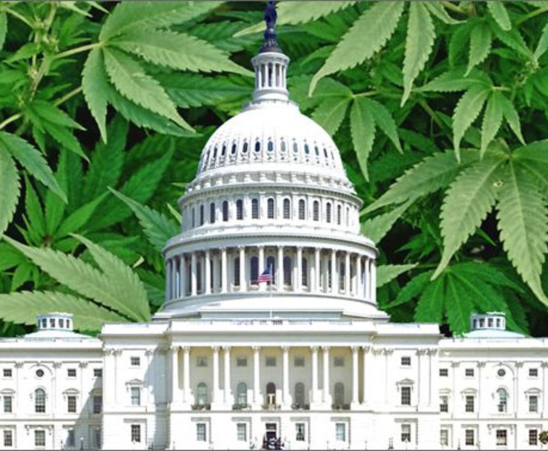 Congress Has Delayed Vote to Federally Legalize Weed Until After the Election