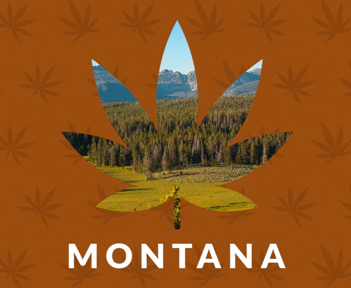 Montana Could Make an Extra $50 Million in Tax Revenue If the State Legalizes Weed