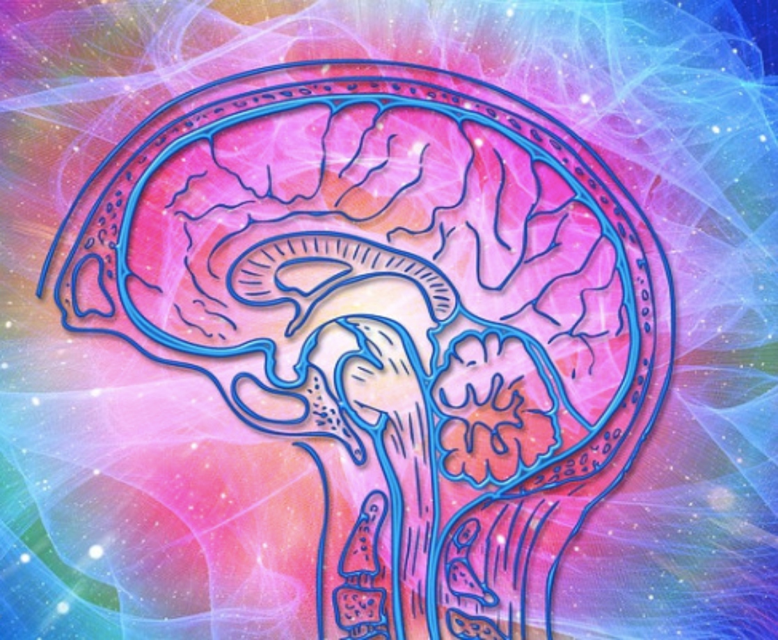 DMT Can Promote Neurogenesis, Improve Memory, and Spatial Learning, Study Finds