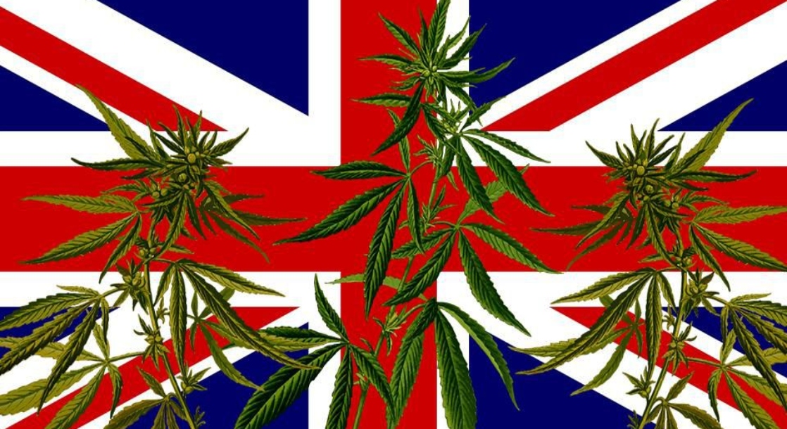 Nearly Half the People in the UK Don’t Know That Medical Cannabis Is Legal