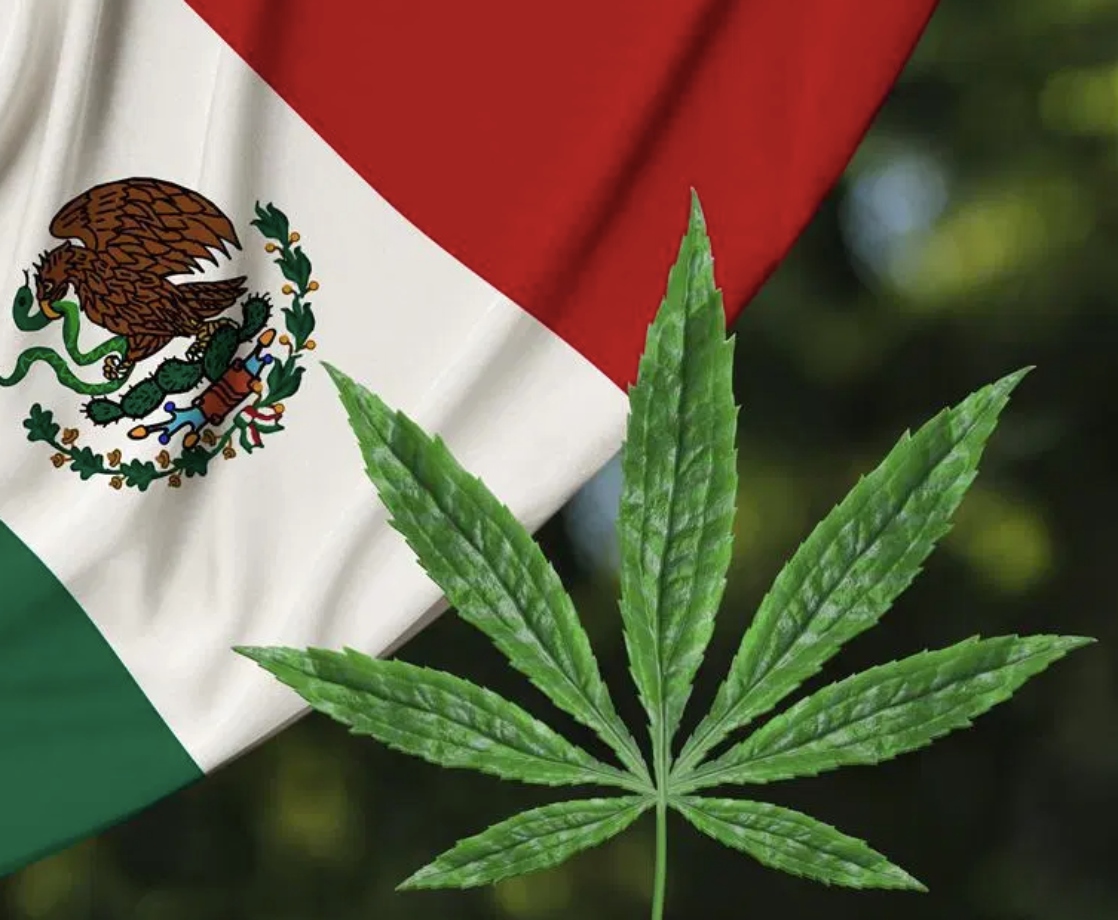 Mexican Senate Will Vote to Federally Legalize Weed in the Next Two Weeks, Leader Says