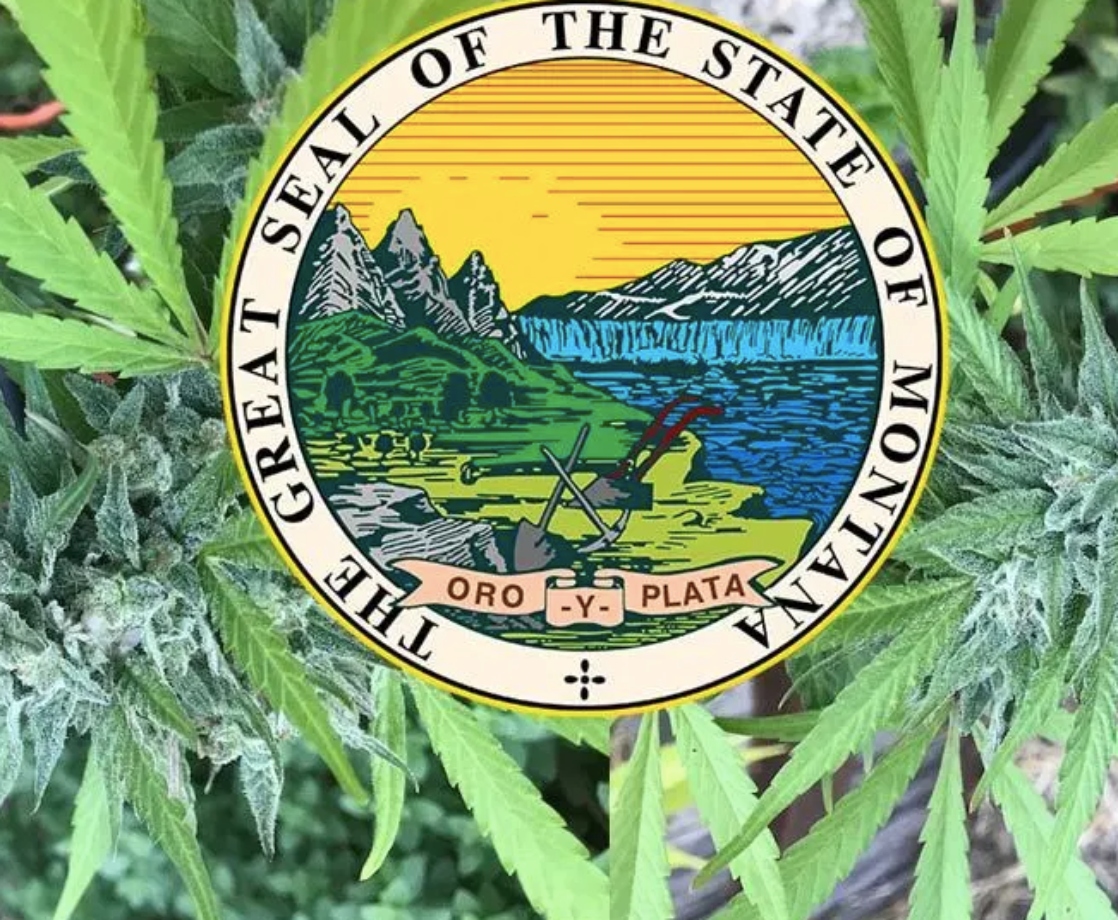 Majority of Montana Residents Say They Will Vote “Yes” to Legalize Adult-Use Cannabis