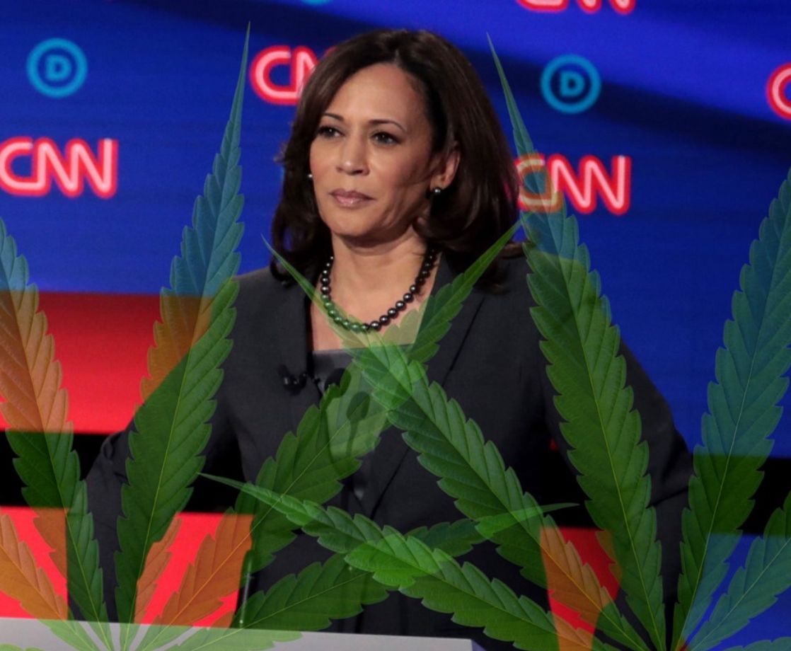 Kamala Harris Says She’s Fully Committed to Weed Decriminalization and Expungement