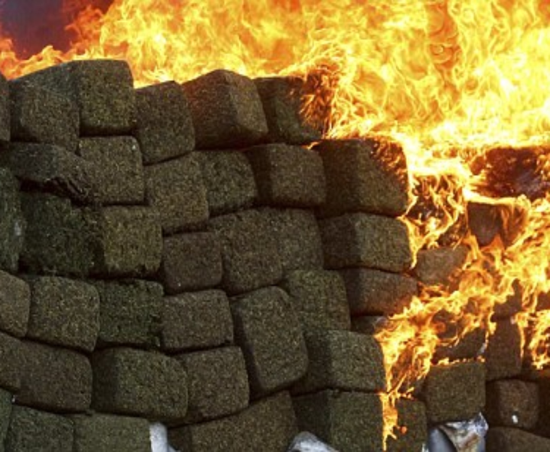 So, the DEA Is Looking to Hire Someone Who Can Burn Four Tons of Weed a Day