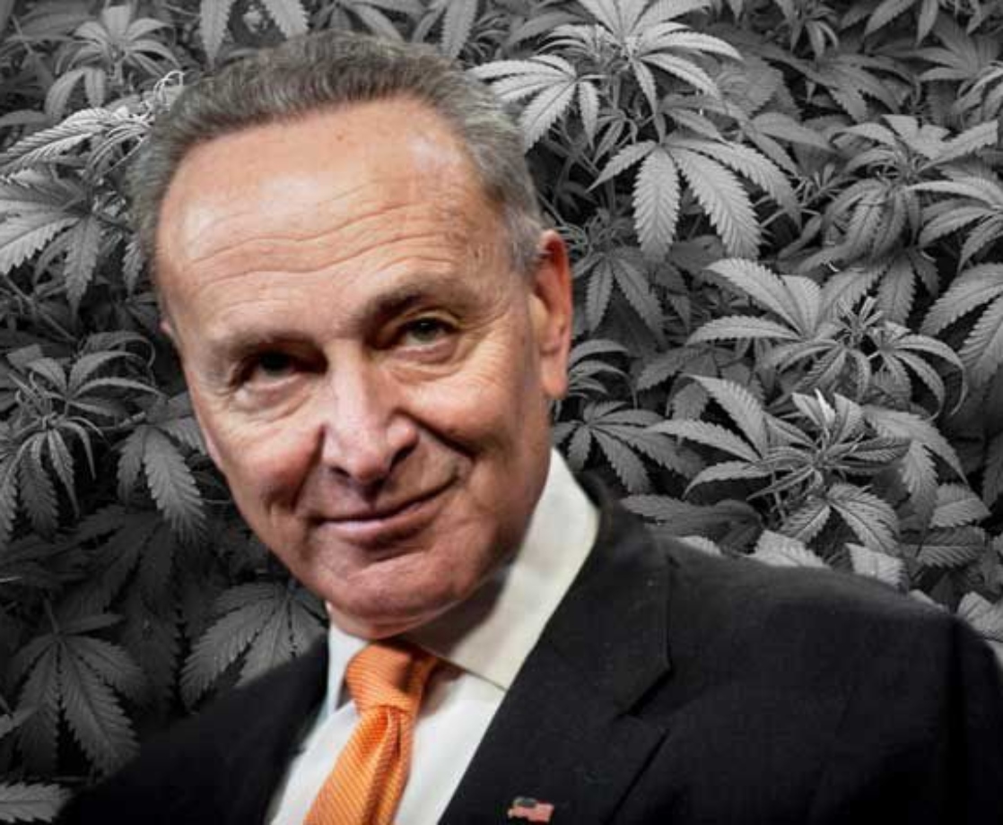 Chuck Schumer Says Federal Weed Legalization Will Be Top Priority If Dems Win Senate