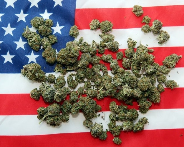 Weed Legalization Is Expected to Win in 4 of 5 States Voting on It Next Tuesday