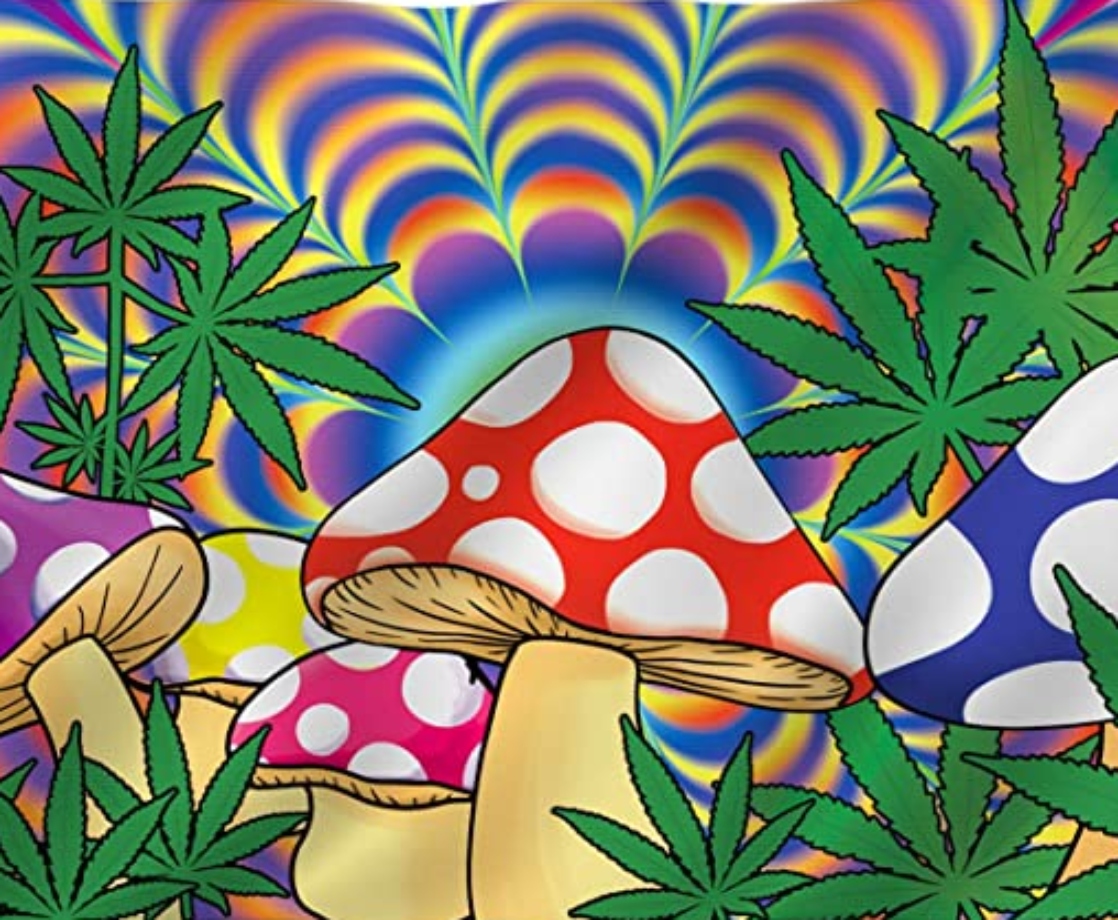 Weed and Psychedelics Swept the 2020 Election with Massive Wins All Over the US