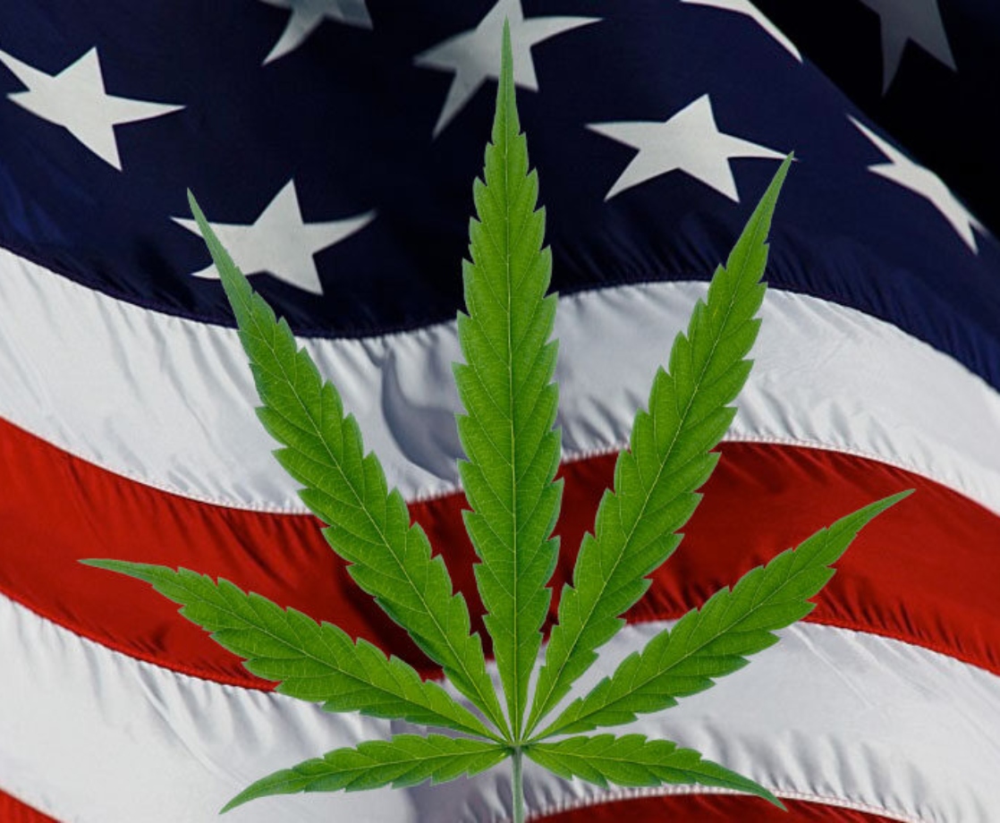 Cannabis Election Wins Are Inspiring Other States to Jump on the Legalization Train