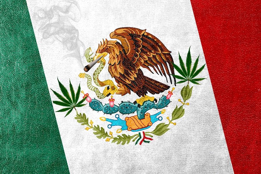 Mexico Inches Closer to Federal Legalization with Approval of Latest Weed Measure