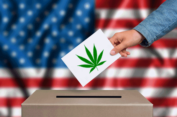 Weed Legalization Earned More Votes Than Trump and Biden in Five States