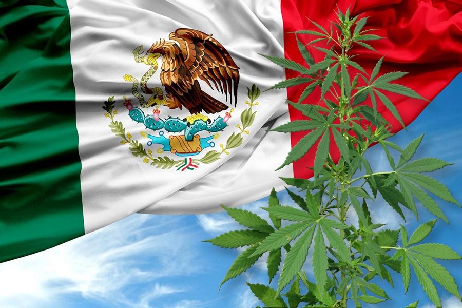Mexican Senate Committees Approve Federal Weed Legalization Bill, Floor Vote to Come