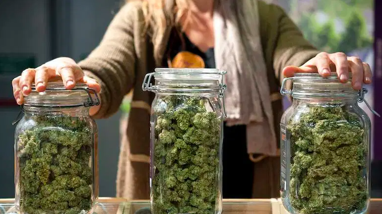 Maine’s Six Legal Dispensaries Sold $1.4 Million Worth of Weed in First Month of Sales