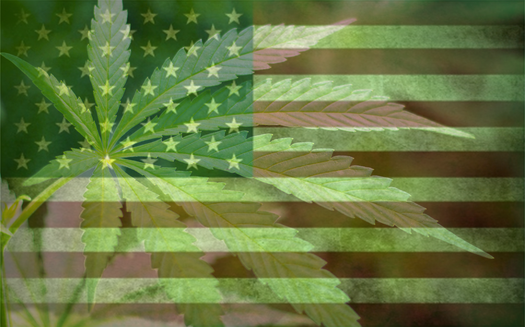 Congress Is Going to Vote on Federally Legalizing Weed This Week