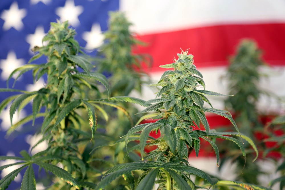 House Committee Is Trying to Make Last Minute Changes to Federal Weed Legalization Bill