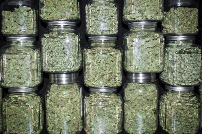 Oregon Has Already Sold More Than $1 Billion of Legal Weed in 2020