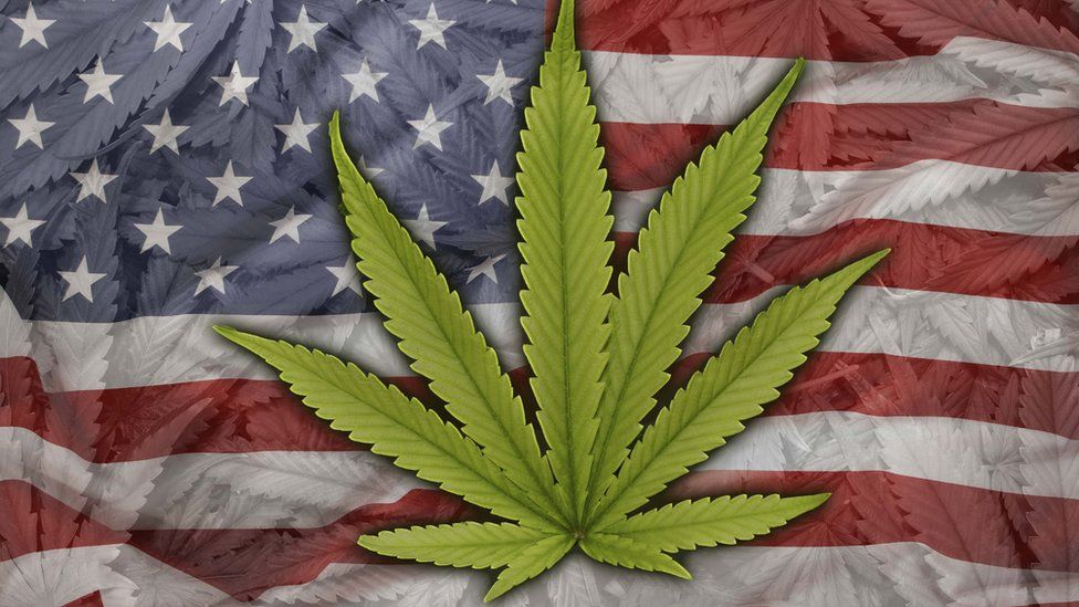 Congress Is Going to Vote on Federal Weed Legalization This Friday