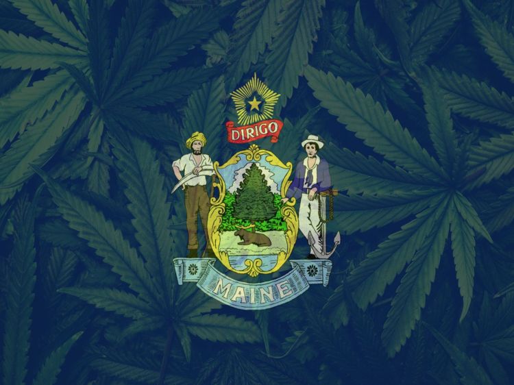 Weed Is Officially Maine’s Most Valuable Crop