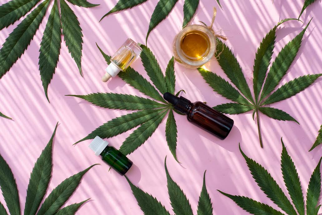 Inside Alphagreen: A Saga of CBD and Innovation in Pursuit of Health and Wellness Worldwide