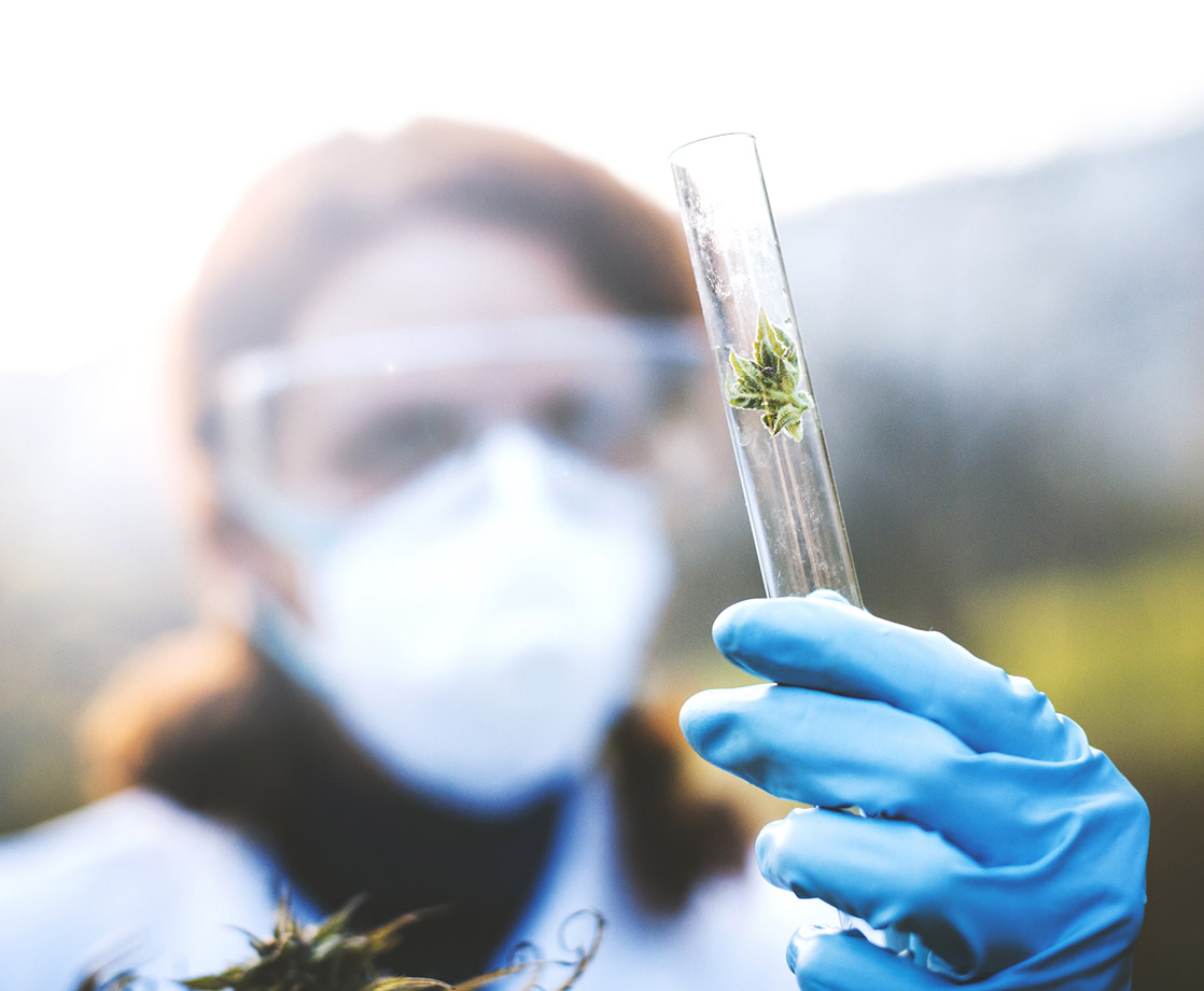 Congress Just Passed Another Landmark Bill to Expand Cannabis Research