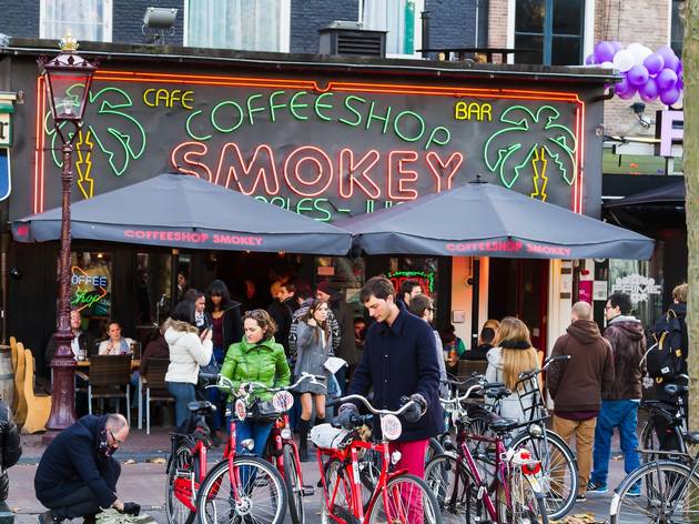Amsterdam Moves Ahead with Plan to Ban Tourists From Pot Cafes