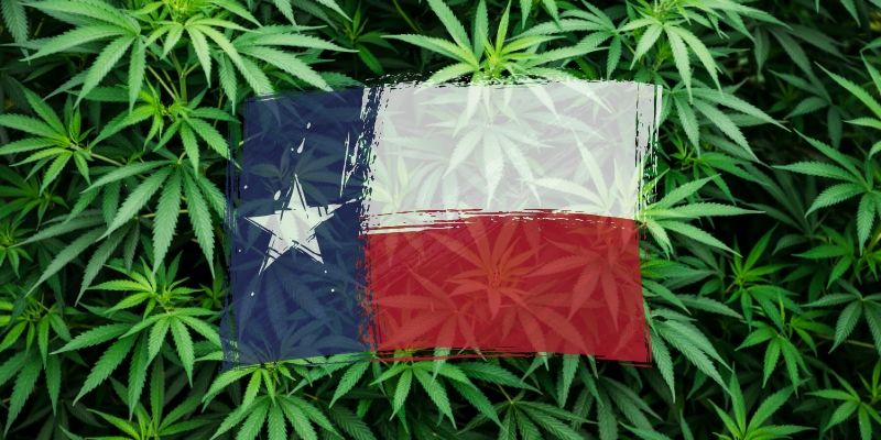Majority of Texans Want to Legalize Weed to Rake In Tax Money and Fund Schools