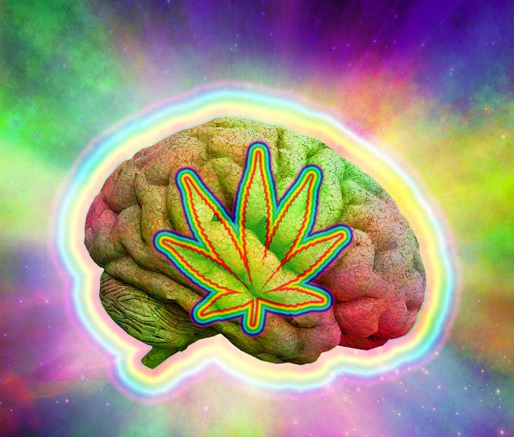 Cannabis Can Improve Behavioral Outcomes for Autistic Patients, Another Study Shows