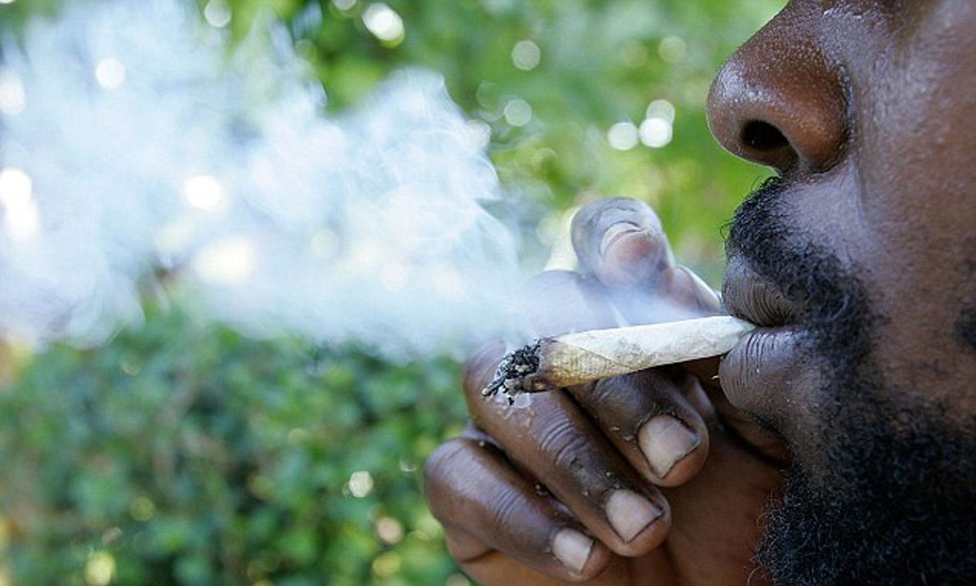 Bad Weather and COVID Lockdowns Leave Jamaica Facing Major Weed Drought