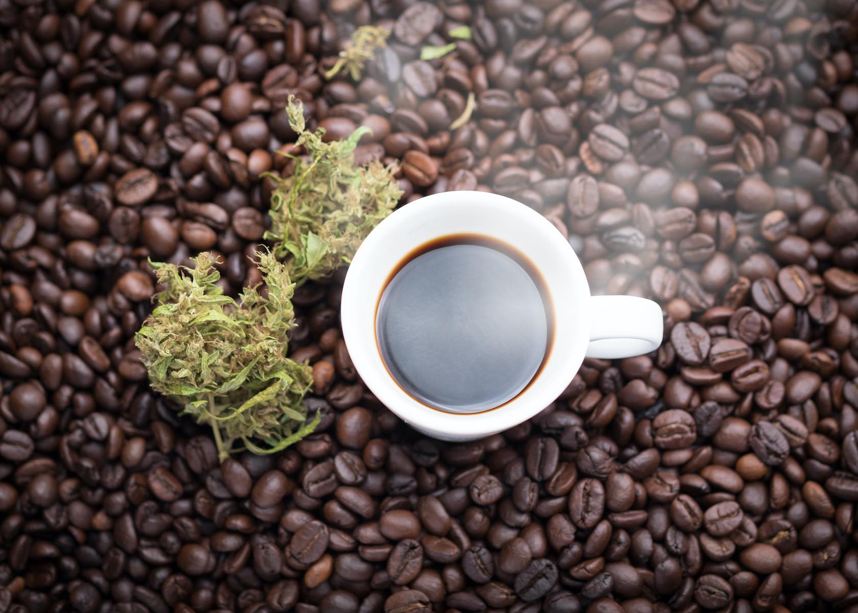 Cannabis and Coffee: The Best Weed Strains to Mix with Caffeine