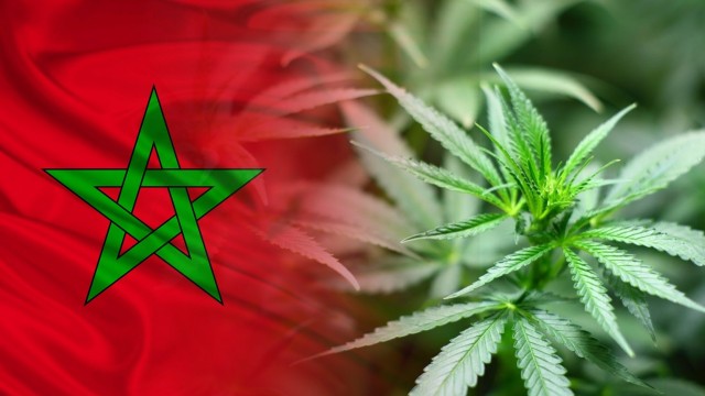 Morocco Is Planning to Legalize Medical Marijuana as Soon as Next Week