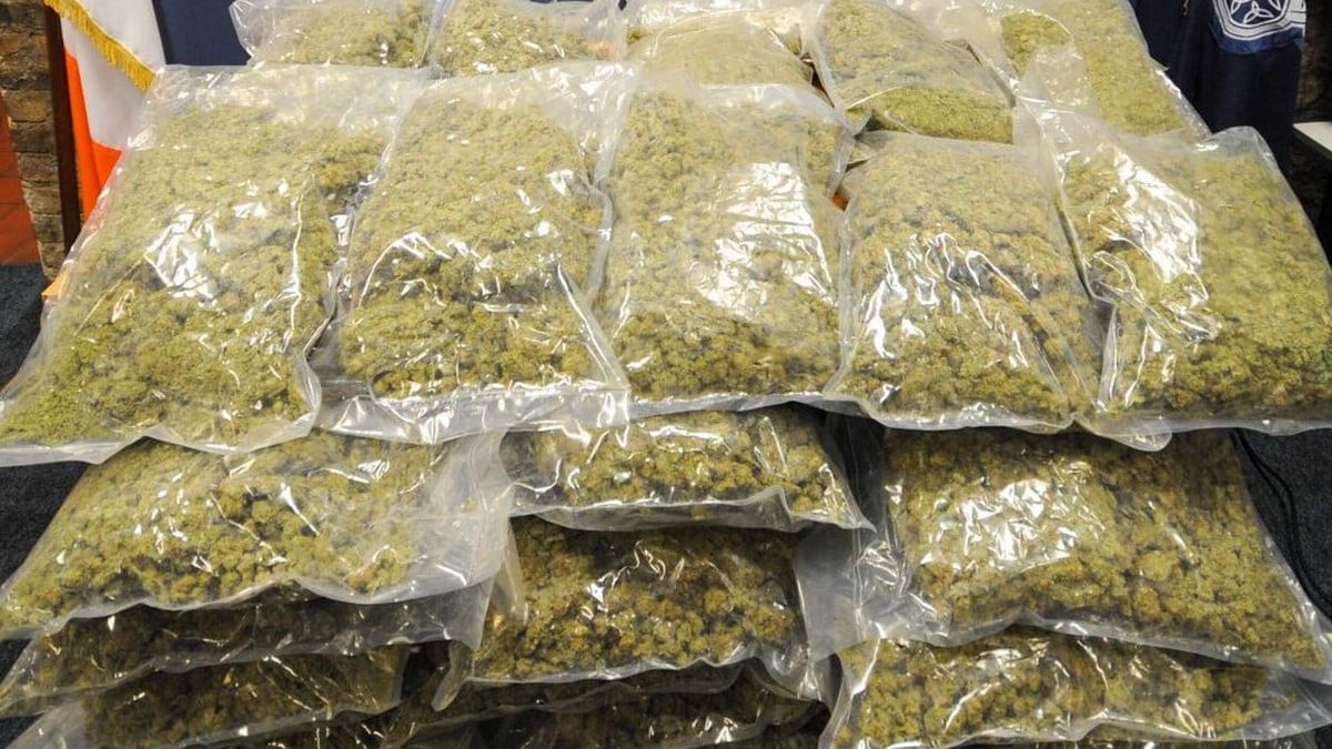 Irish Cops Have Seized a Record-Breaking Amount of Cannabis Throughout the Pandemic