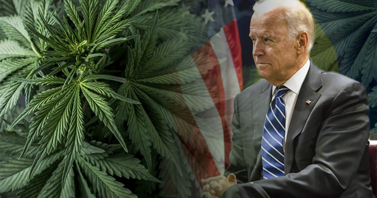 Biden Administration Just Terminated and Suspended Employees for Past Weed Use