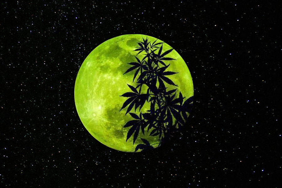 Blowing Smoke to the Sky: Celebrate This Full Moon with These Ultra-Vibey Weed Products