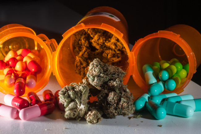 61% of Medical Cannabis Users in Texas Said Weed Helped Them Get off Pharmaceuticals