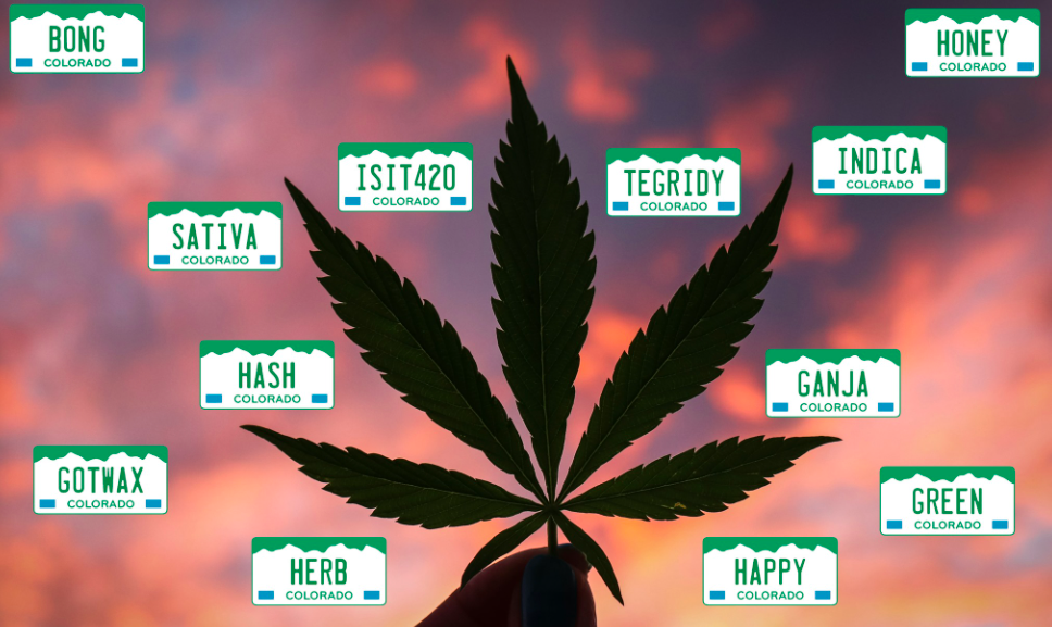 Colorado Auctions Off Weed-Themed License Plates to Help People with Disabilities