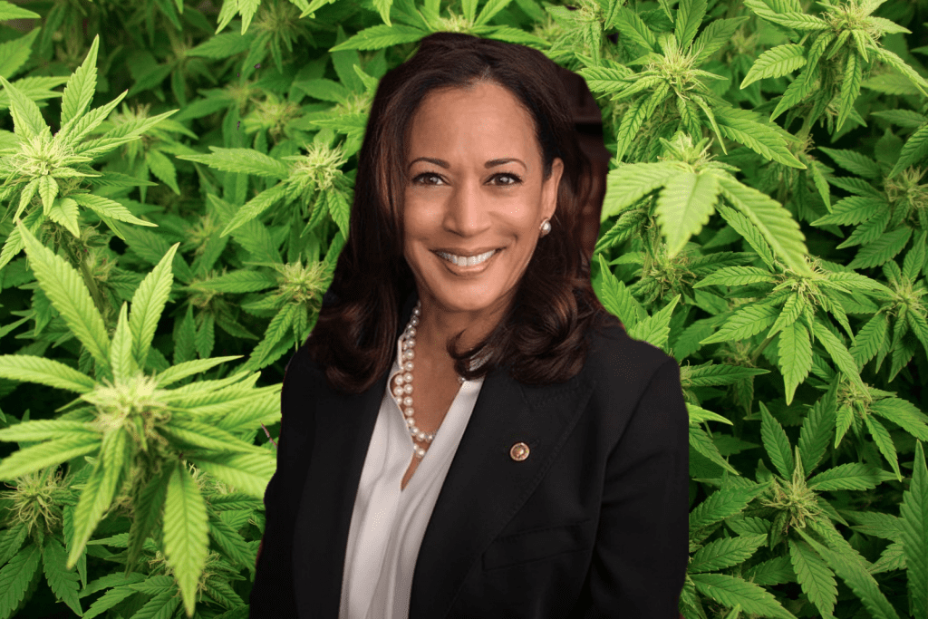 Kamala Harris Says Biden Is “Too Busy” to Decriminalize Weed Right Now