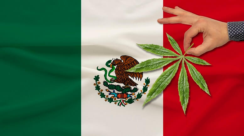 Mexican Senate Is Trying to Delay Cannabis Legalization, Again