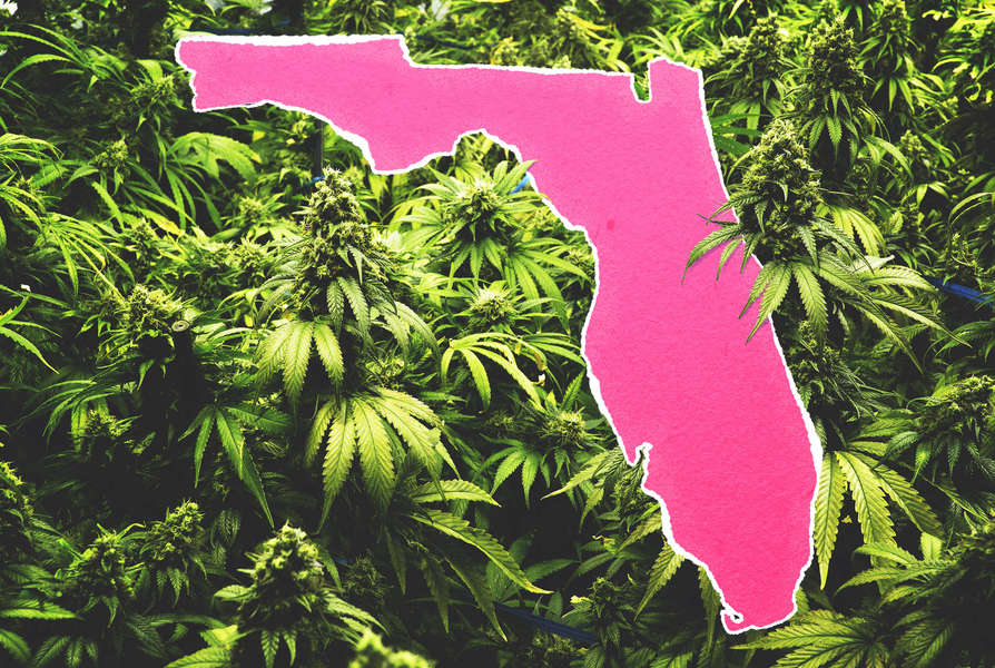 Florida Supreme Court Kills 2022 Adult-Use Legalization Ballot Measure