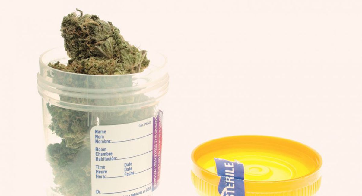 Philadelphia Is About to Ban Pre-Employment Drug Testing for Weed