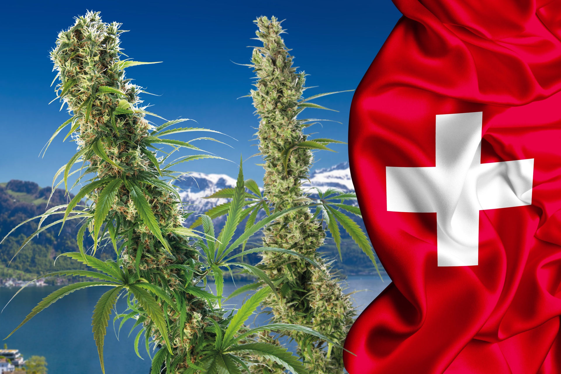 Switzerland Just Got One Step Closer to Federally Legalizing Weed