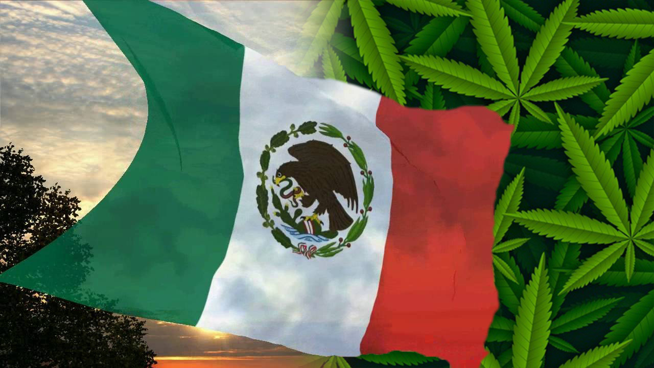 So, What’s the Deal with Mexico’s Cannabis Legalization Delay?