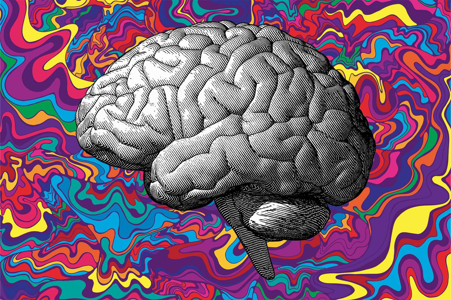 Here’s What Neuroimaging Can Tell Us About the Psychedelic Experience