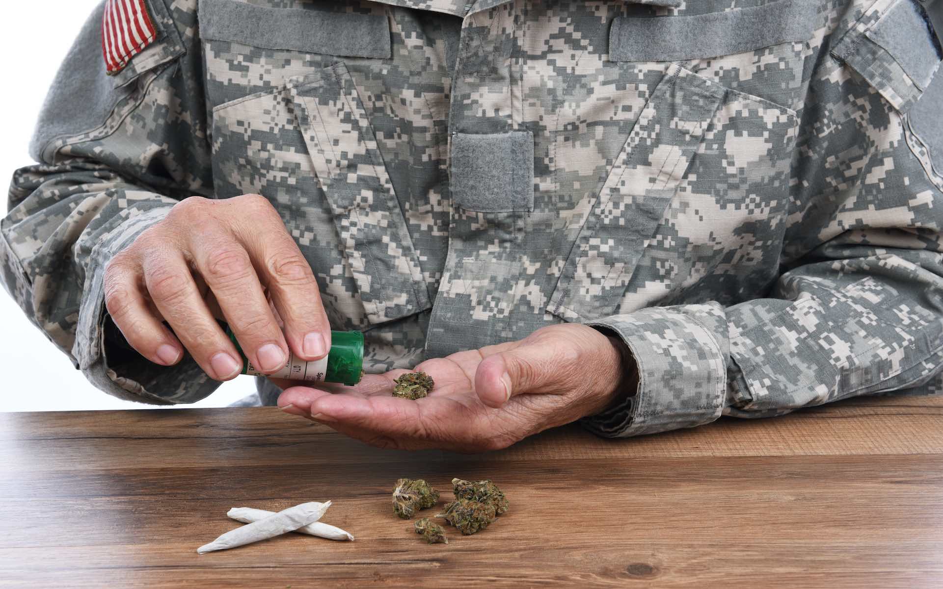 More Veterans Are Using Medical Marijuana Than Ever Before, Study Finds
